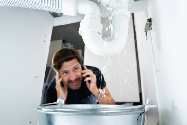 Best Leak Detection Services  in Percy, IL