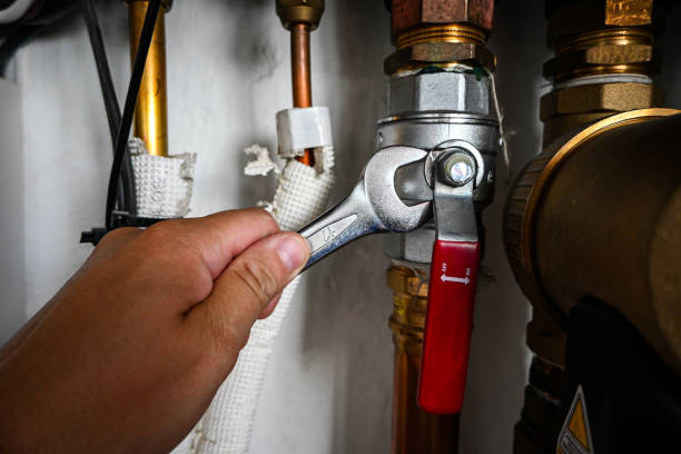Best Residential Plumbing Services  in Percy, IL